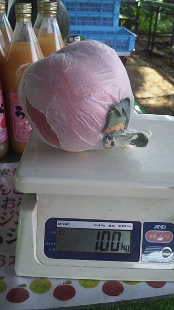 DVC00113.jpg