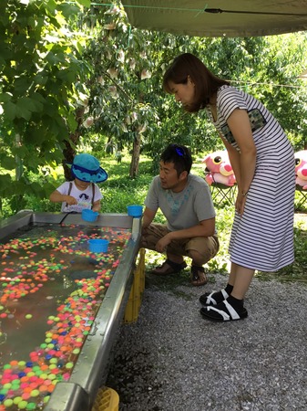 image1.JPG