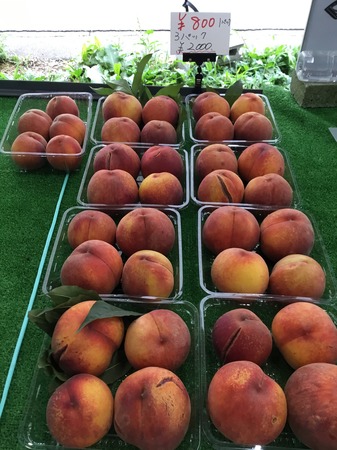 image1.JPG