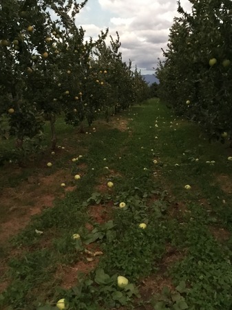 image1.JPG