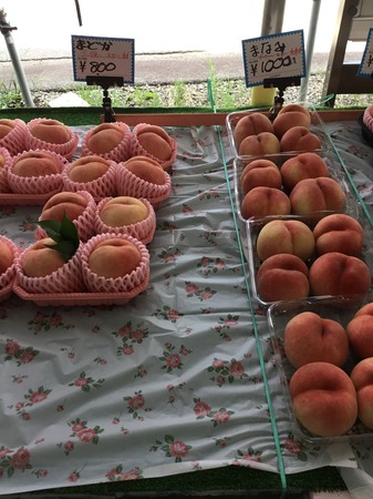 image1.JPG