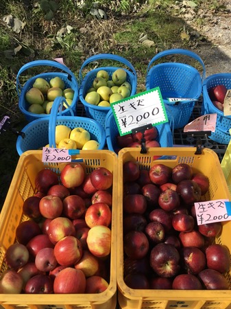 image1.JPG