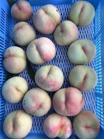 image1.JPG