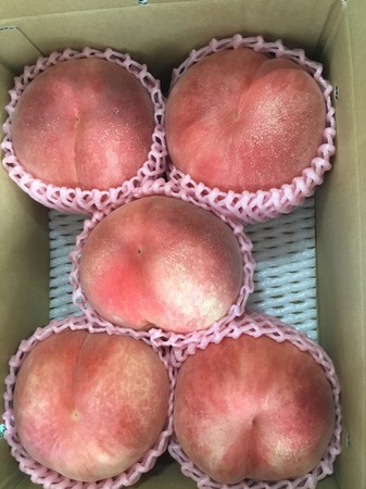 image1.JPG