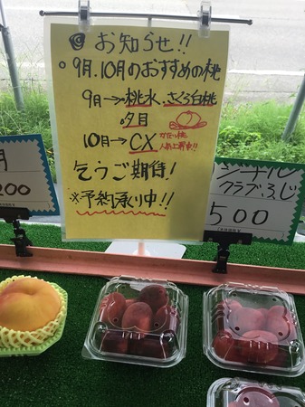 image1.JPG