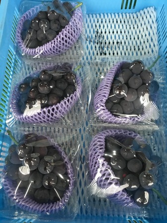 image1.JPG