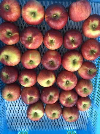 image1.JPG