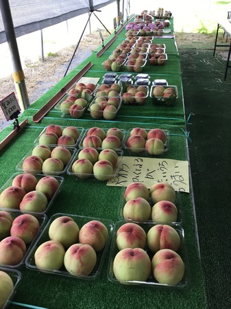 image1.JPG