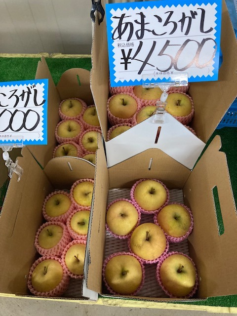 安曇野 加藤農園 日常日記